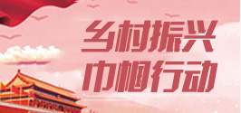 鄉村振興巾幗行動